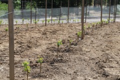 KRETOS_AL_02_06_2022-1