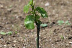 KRETOS_AL_02_06_2022-10