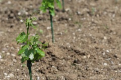 KRETOS_AL_02_06_2022-11