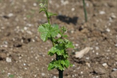 KRETOS_AL_02_06_2022-12