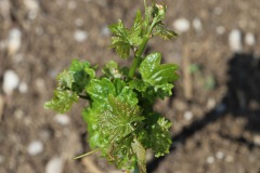 KRETOS_AL_02_06_2022-13