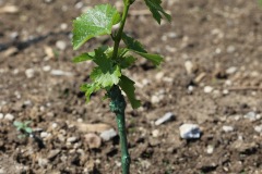 KRETOS_AL_02_06_2022-14