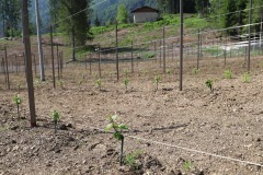 KRETOS_AL_02_06_2022-15
