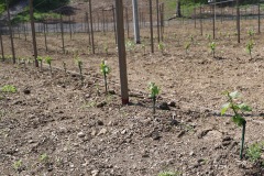 KRETOS_AL_02_06_2022-16
