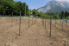 KRETOS_AL_02_06_2022-19