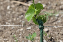 KRETOS_AL_02_06_2022-2