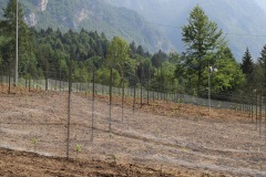 KRETOS_AL_02_06_2022-24