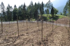 KRETOS_AL_02_06_2022-25