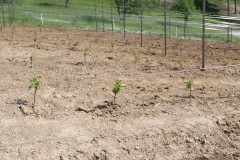 KRETOS_AL_02_06_2022-26