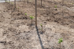 KRETOS_AL_02_06_2022-28