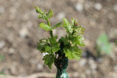 KRETOS_AL_02_06_2022-4