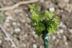 KRETOS_AL_02_06_2022-5