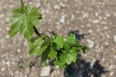 KRETOS_AL_02_06_2022-6