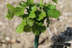 KRETOS_AL_02_06_2022-8