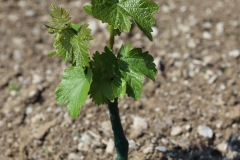 KRETOS_AL_02_06_2022-9