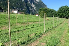 PINOT_NERO_02_07_22-3