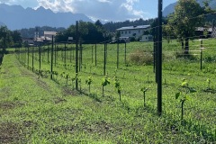 PINOT_NERO_02_07_22-6