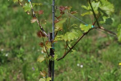 DROGNE_02_06_2022-27