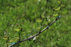 DROGNE_02_06_2022-30