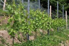 DROGNE_02_06_2022-32