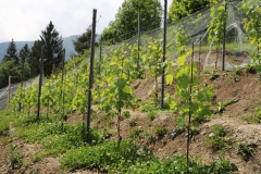 DROGNE_02_06_2022-33