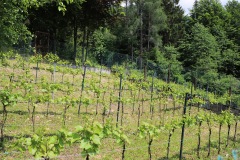 DROGNE_02_06_2022-34