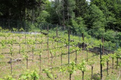 DROGNE_02_06_2022-36