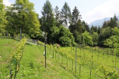 DROGNE_02_06_2022-41