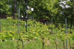DROGNE_02_06_2022-42