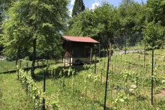 YEAR_2019-58