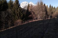 IMG_20200119_094241