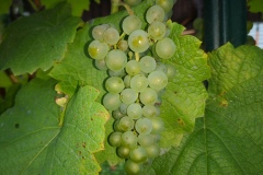 IMG_20200906_154416