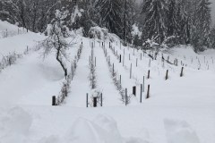IMG_9144