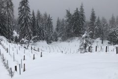 IMG_9150