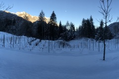 IMG_9672