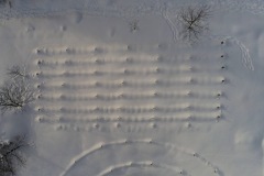 Anafi 1.7.6