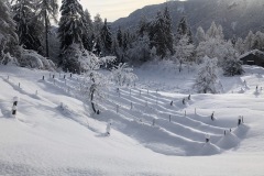 2021_PHOTO_ARCHIVE-77