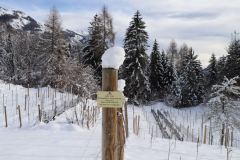IMG_2457
