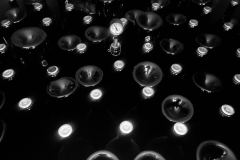 IMG_5393