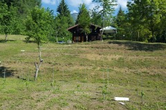 ANNATA_2017-15