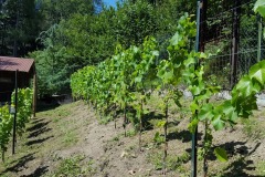 ANNATA_2017-24