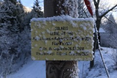 ANNATA_2017-31