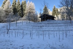 ANNATA_2017-32