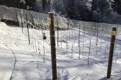 ANNATA_2017-33