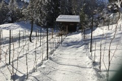 ANNATA_2017-35