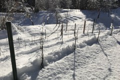 ANNATA_2017-37