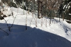 ANNATA_2017-38