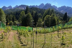 ANNATA_2017-41