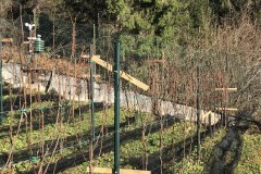 ANNATA_2018-1