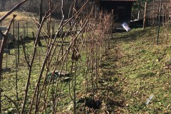 ANNATA_2018-12